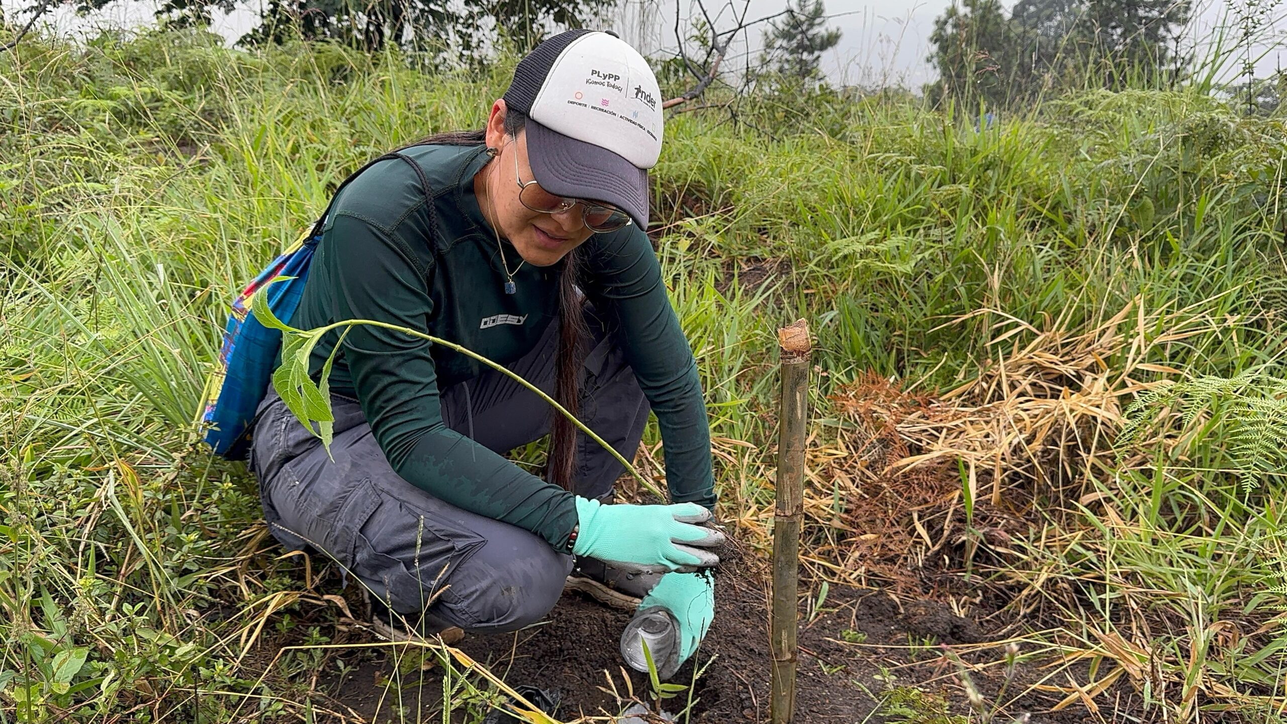 Imagen mujer sembrando 2
