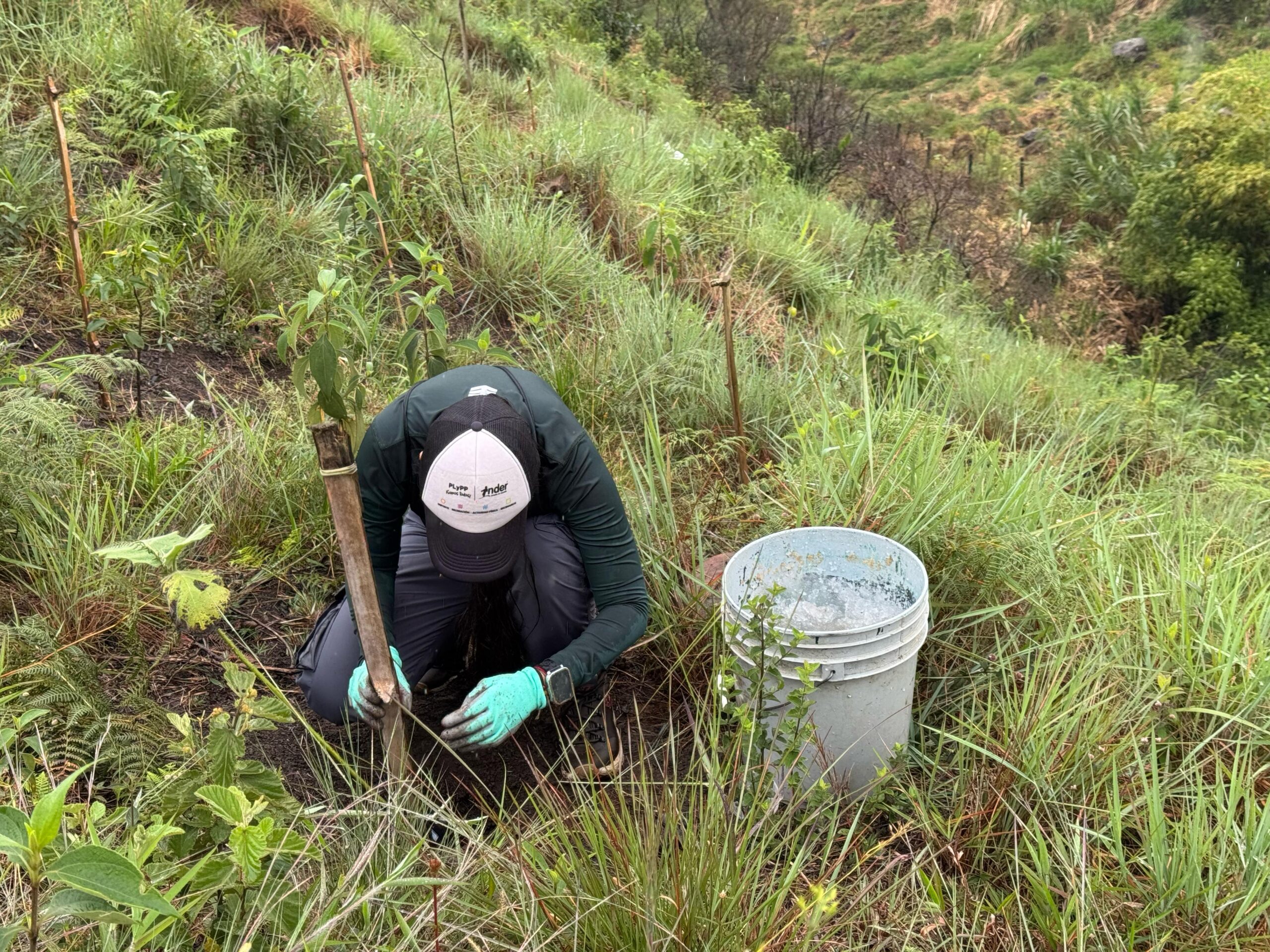 Imagen mujer sembrando 3