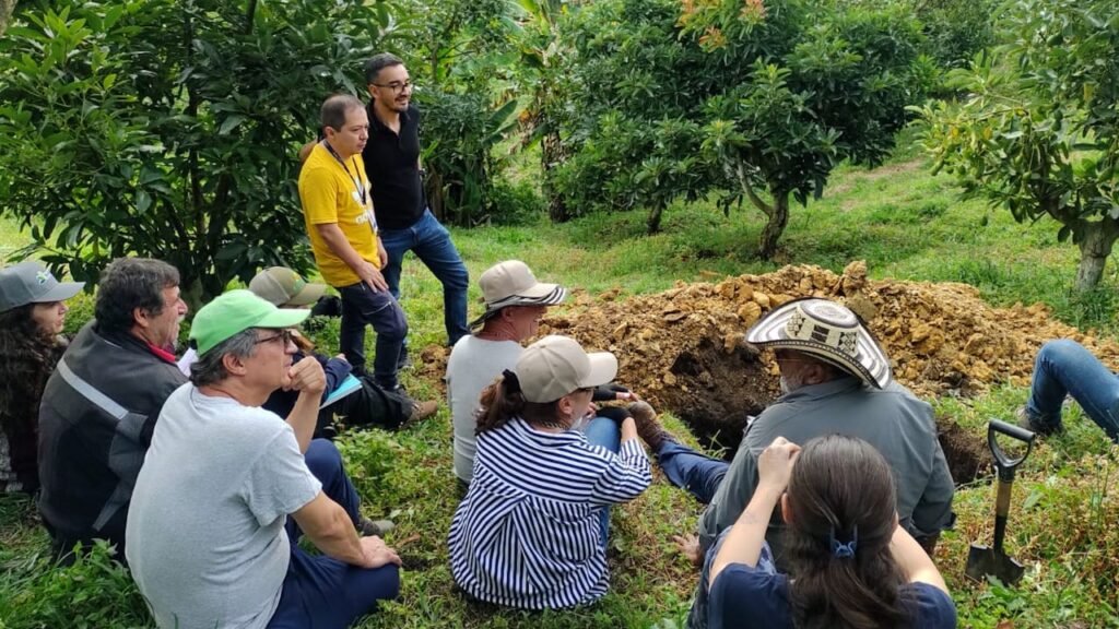 Imagen personas en agricultura urbana