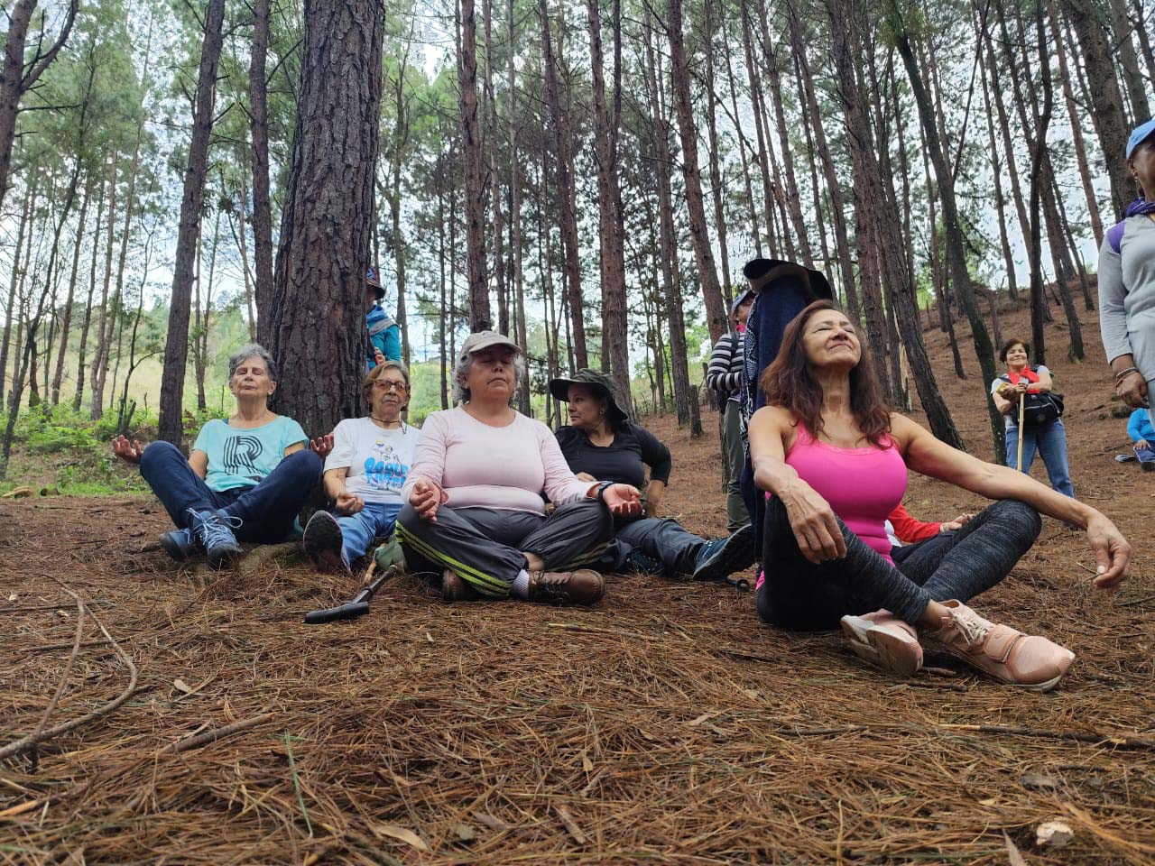 Imagen practicas amigables 2