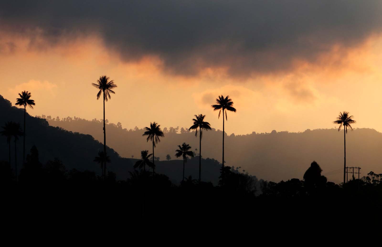 Imagen practicas amigables 4