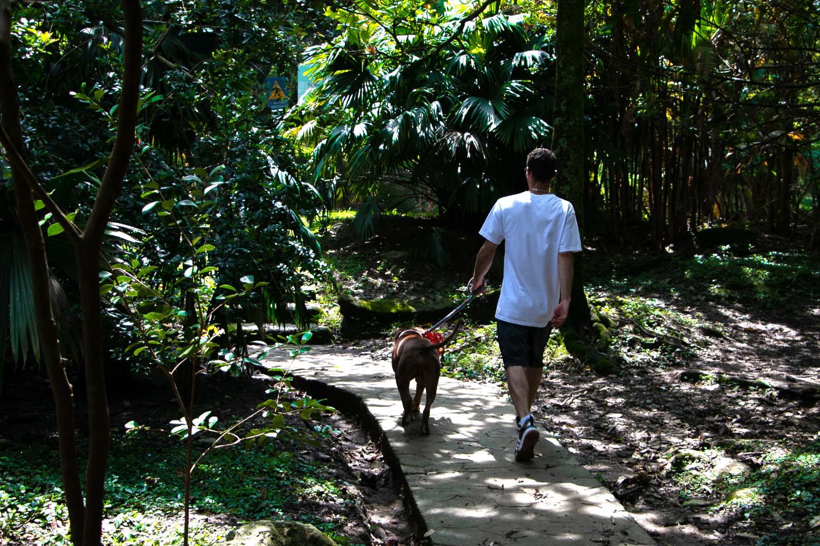 Imagen practicas amigables