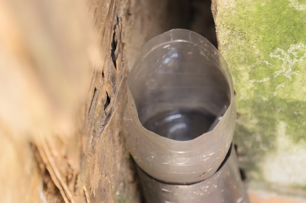 Imagen prevención mosquitos 4