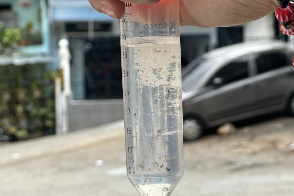 Imagen prevención en Medellín mosquitos5