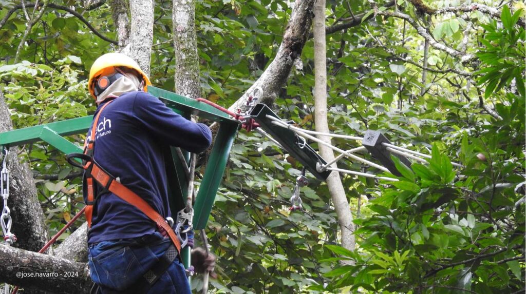 Pasos de fauna en Medellín