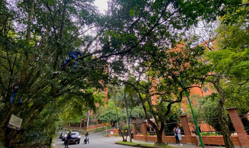 Pasos de fauna en Medellín