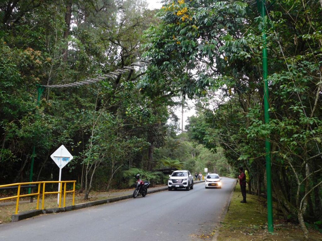 Pasos de fauna en Medellín