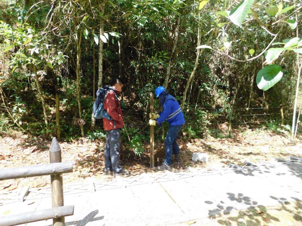 Pasos de fauna en Medellín