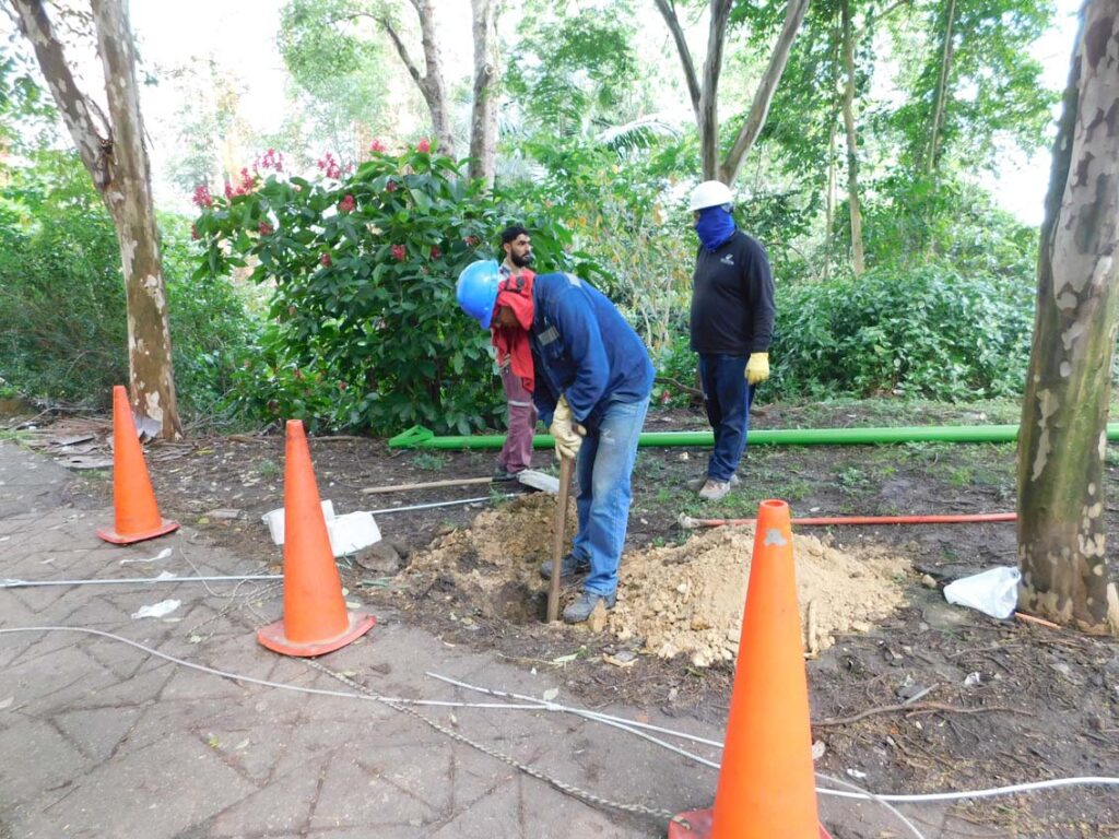 Pasos de fauna en Medellín