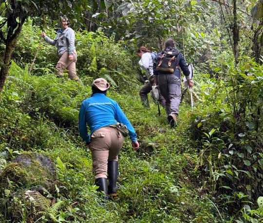 Imagen funcionarios en bosque