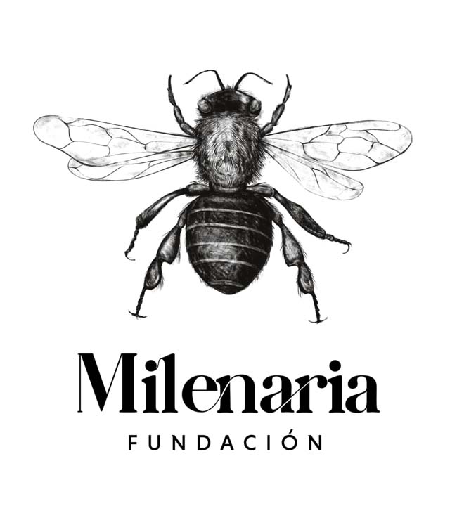 Imagen logo de Milenaria Fundación