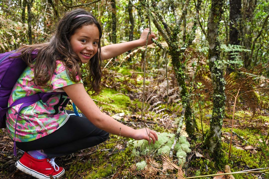 Imagen niña colegios verdes en bosque