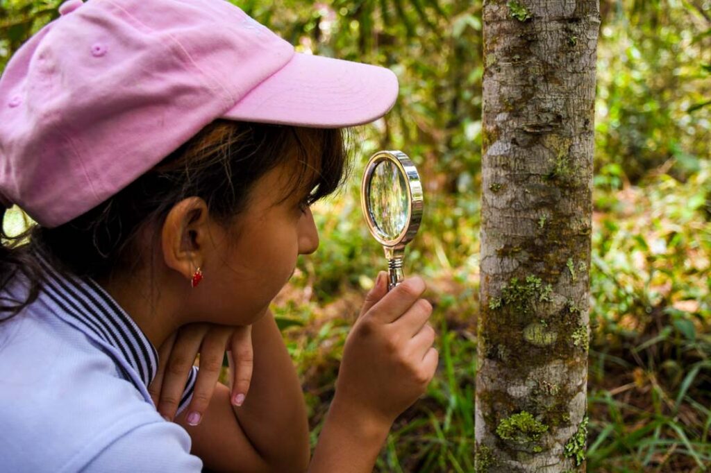 Imagen niña con lupa colegios verdes