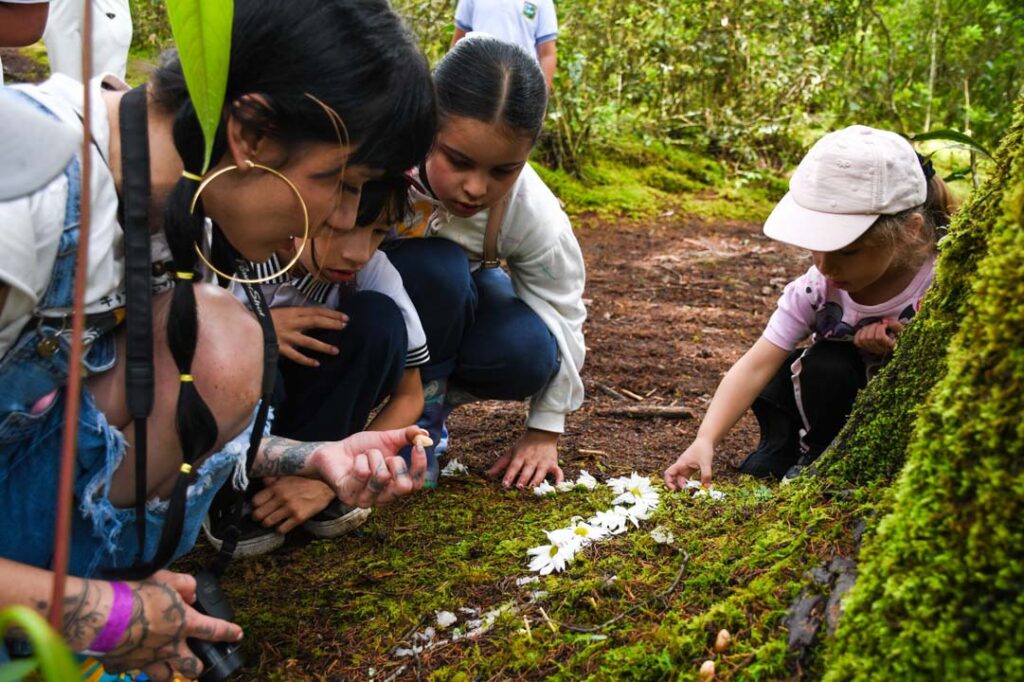 Imagen niños colegios verdes