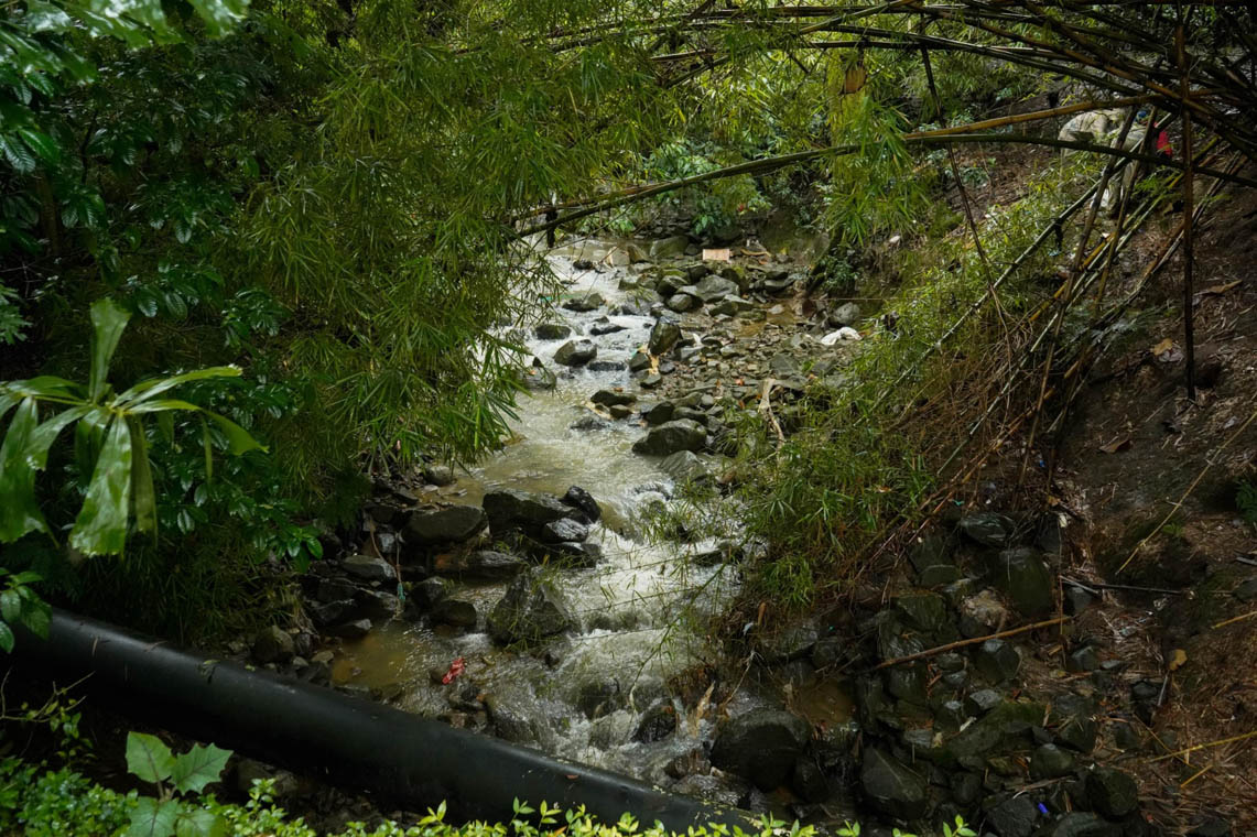 Imagen panorámica de quebrada La Presidenta
