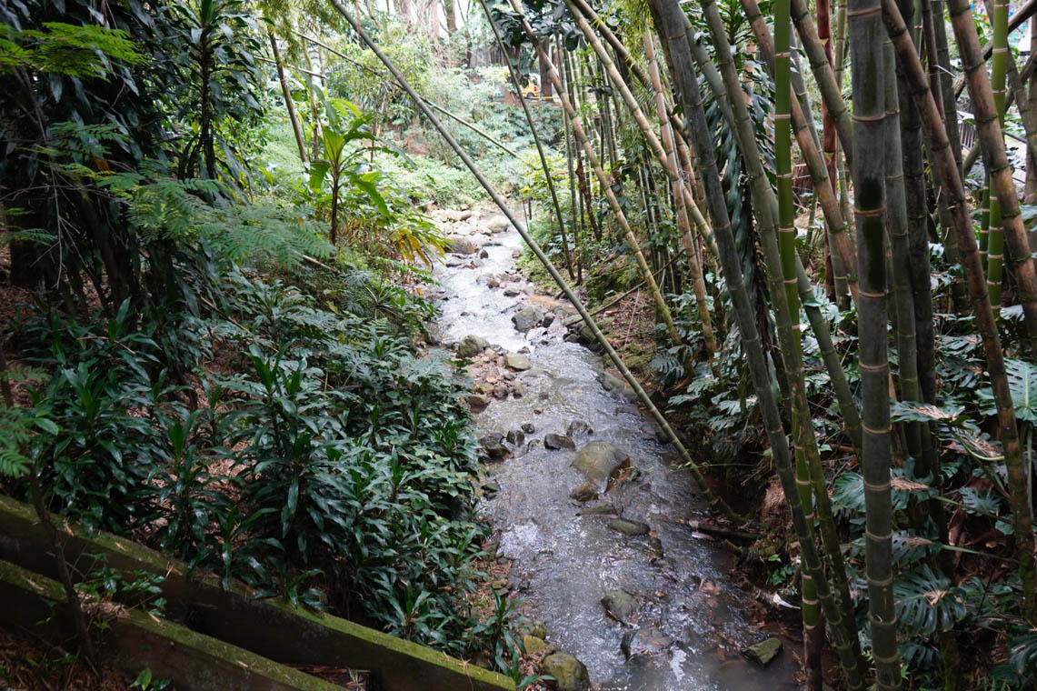 Imagen panorámica de quebrada La Presidenta