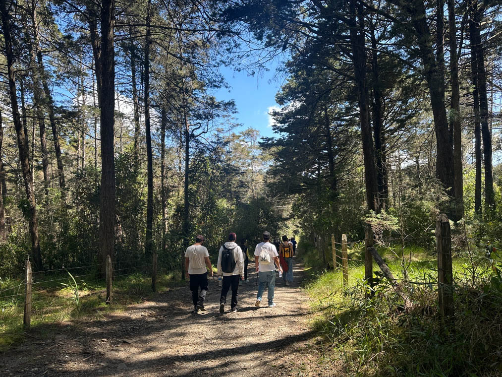 Imagen panorámica del Parque Arví