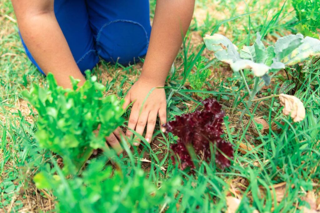 Imagen BUEN COMIENZO HERNAN-12-min Medellín 