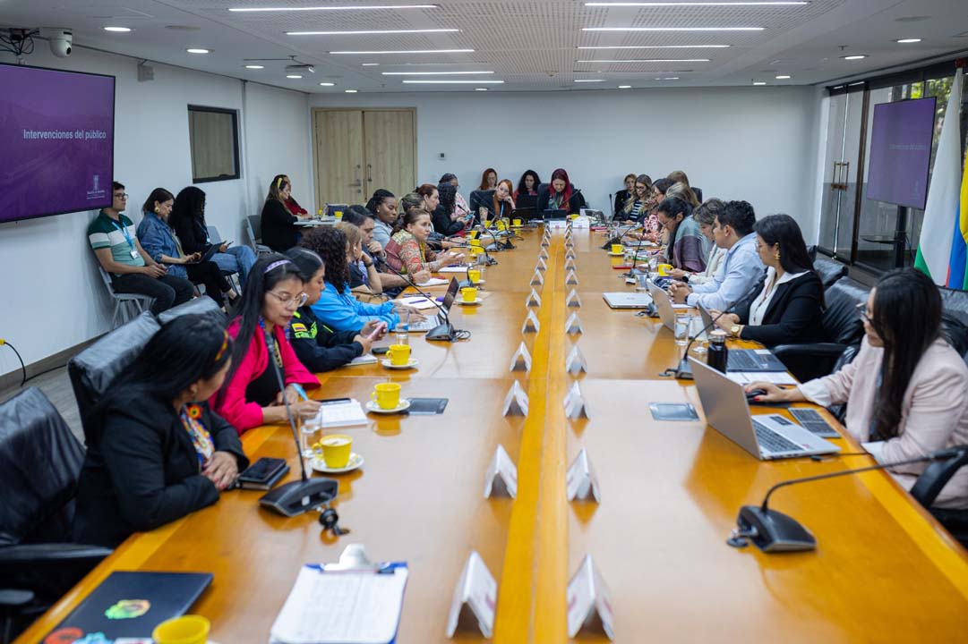 Imagen Consejo de Seguridad Pública para las Mujeres (CSPM)