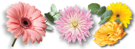 Imagen Flores horizontal Feria de Flores 2025