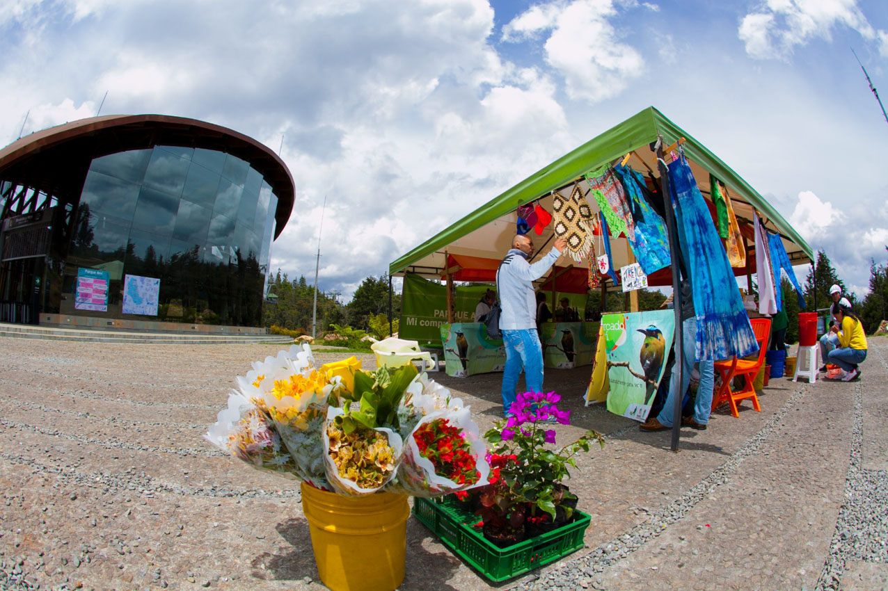 Imagen Turismo Medellín  3