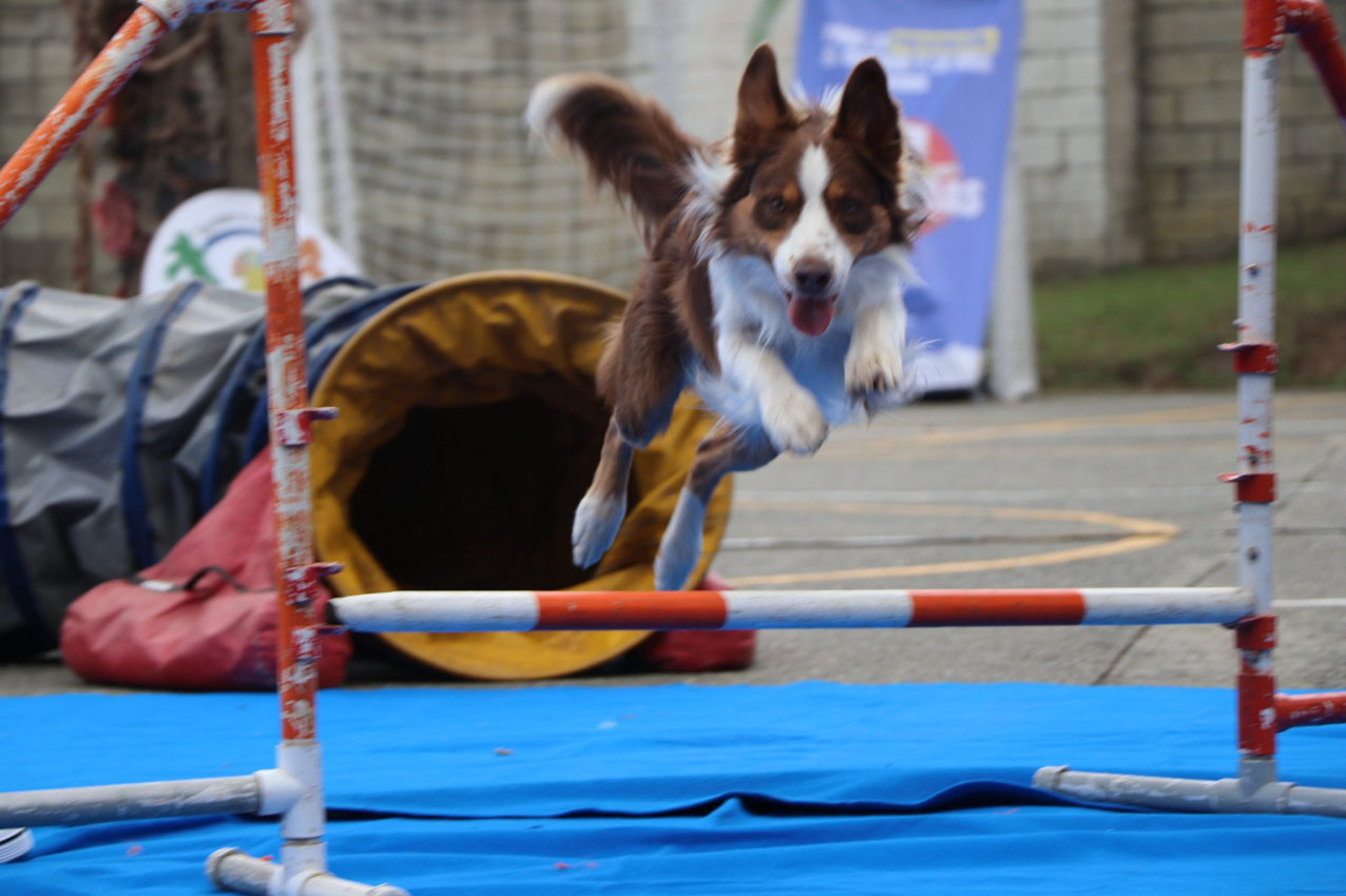Imagen adolescentes graduados con Parceros y Salvavidas (6)