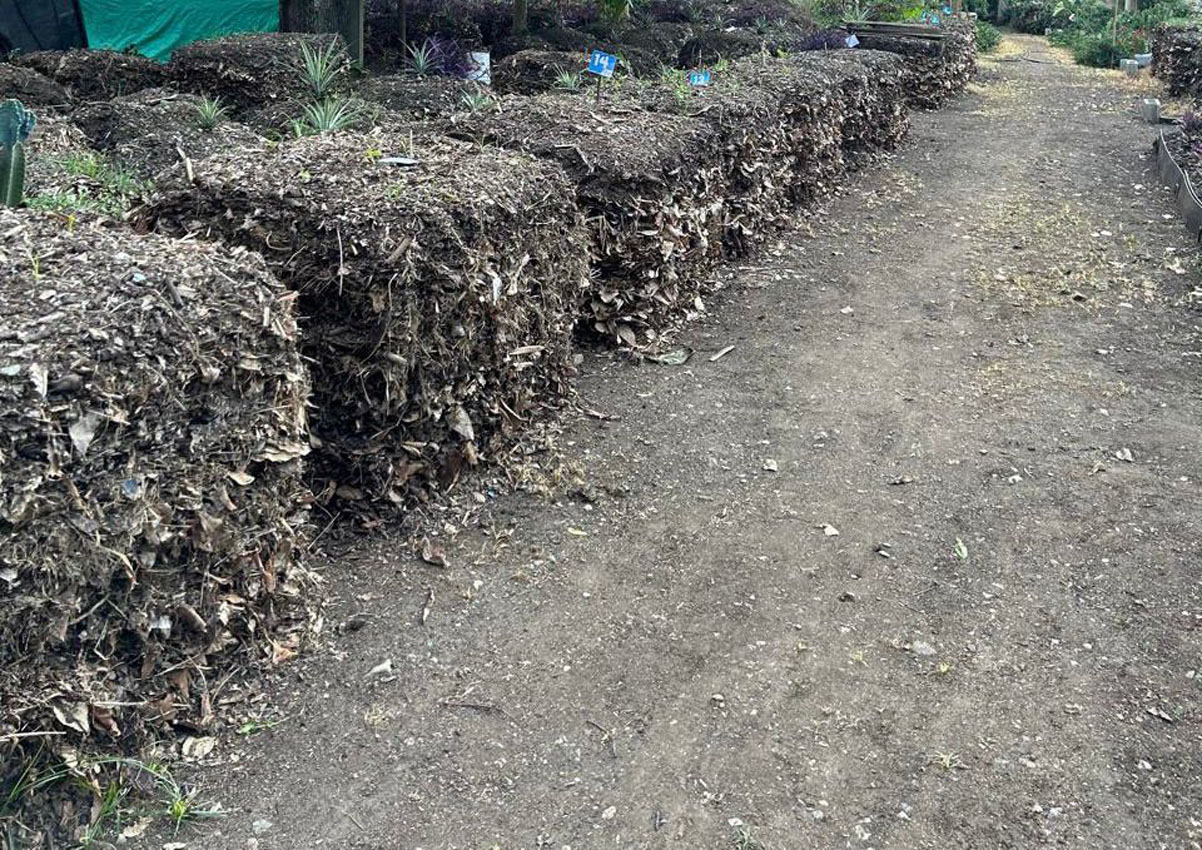 Imagen biodiversidad y sostenibilidad (3)