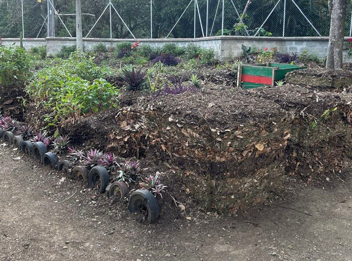 Imagen biodiversidad y sostenibilidad (4)