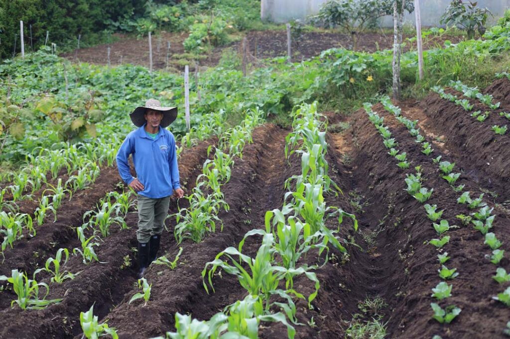 Imagen campesino Cero Hambre
