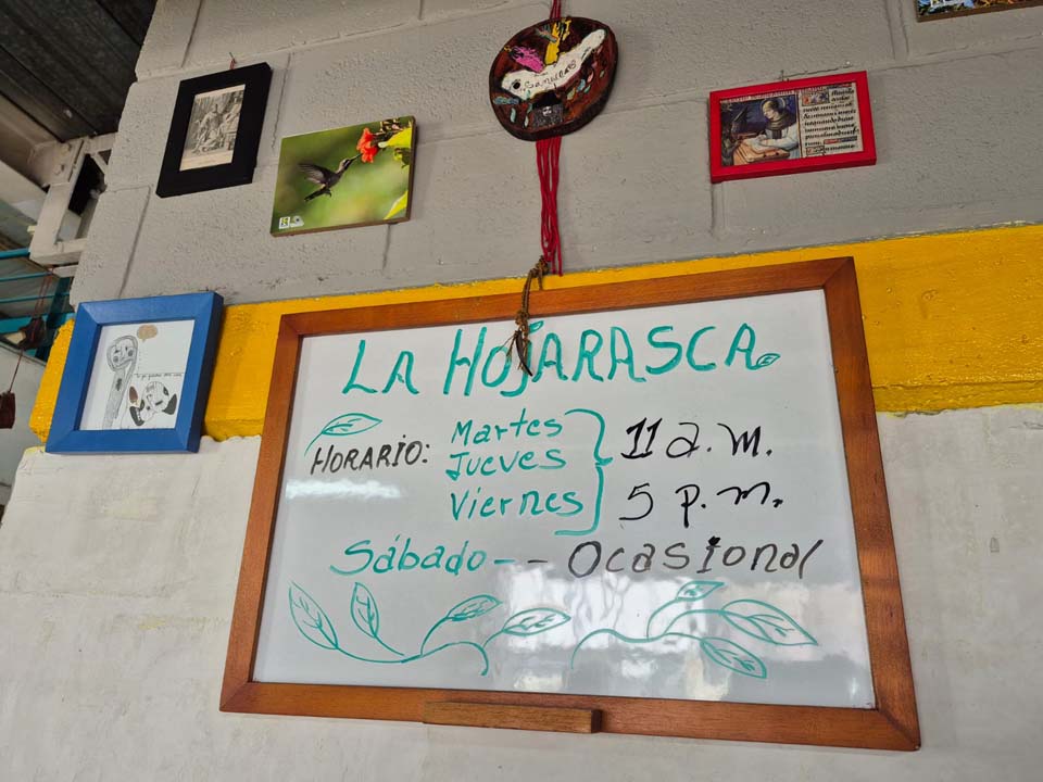 Imagen de LA HOJARASCA