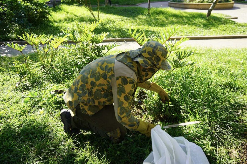 Imagen de persona tratando jardín de la ciudad