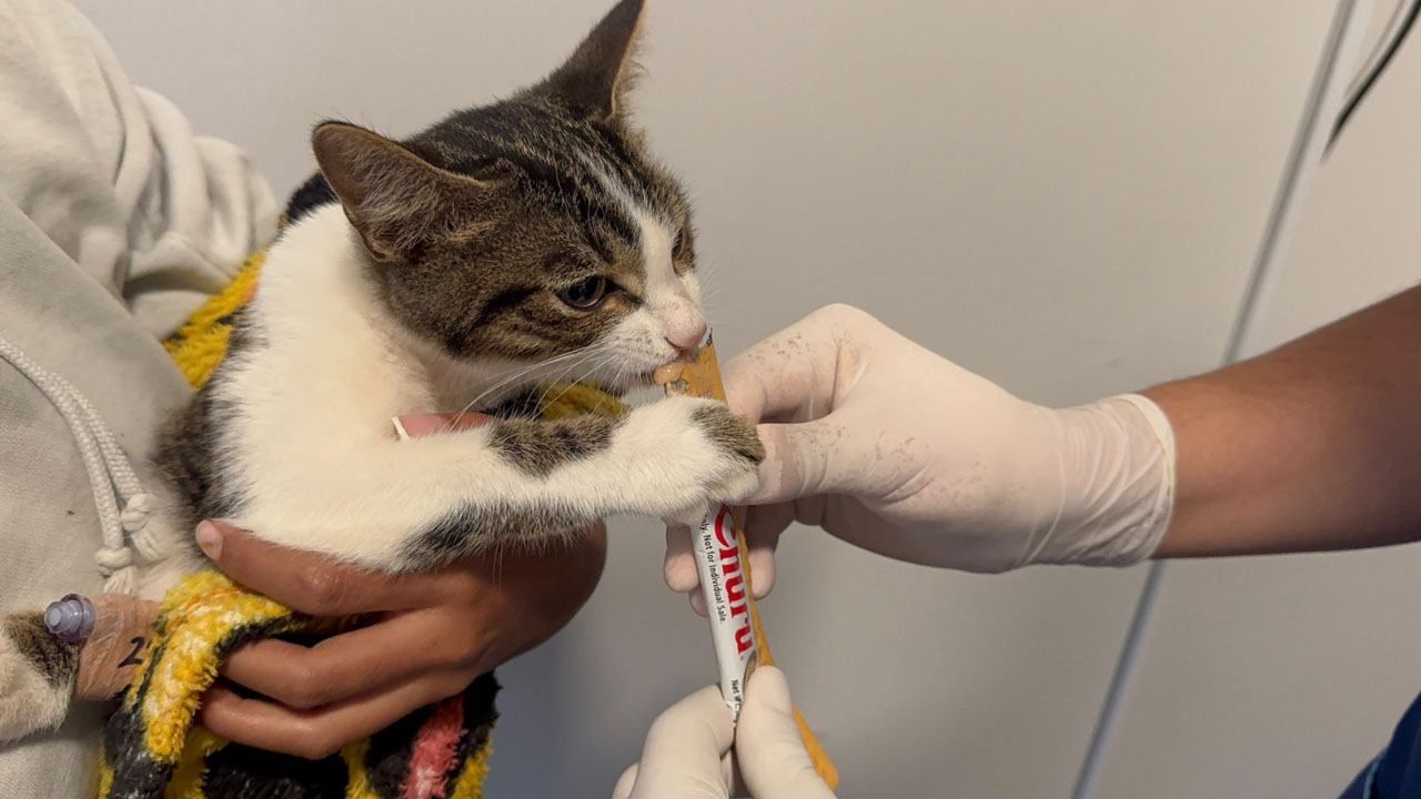 Imagen emergencia en Santo Domingo Savio (1)