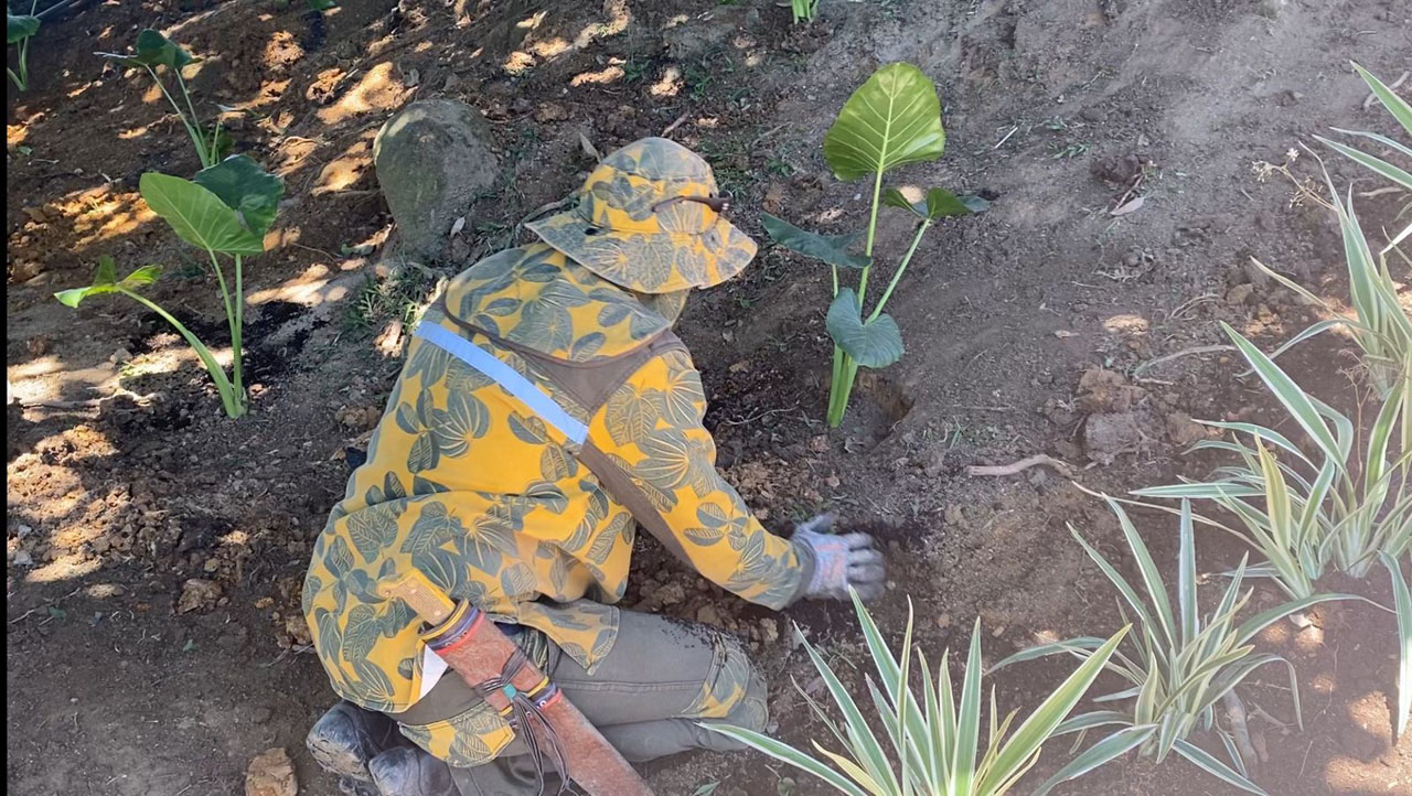 Imagen limpieza Biblioteca Tomas Carrasquilla (2)