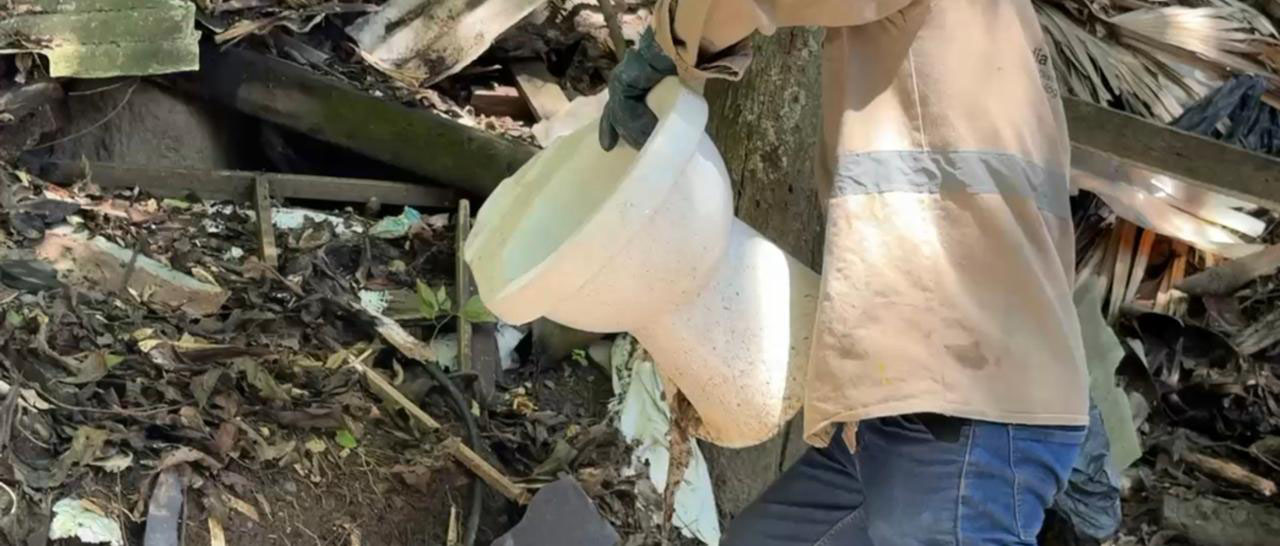 Imagen limpieza Biblioteca Tomas Carrasquilla (4)