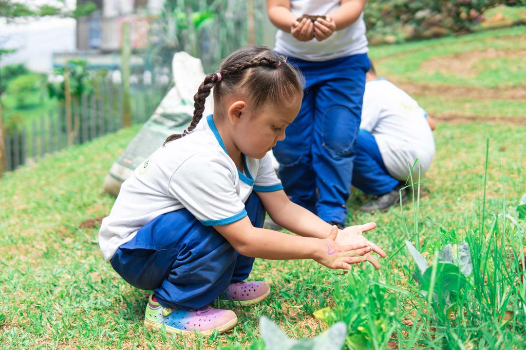 Imagen medio ambiente Foto MADELYNE-min