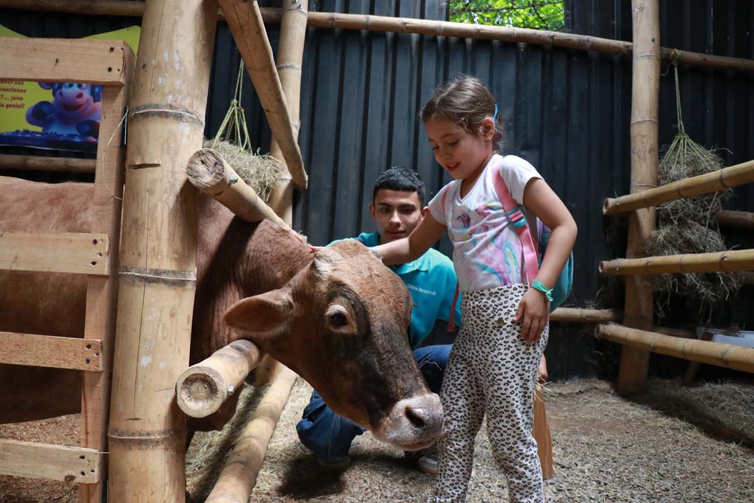 Imagen niña y cuidado con vaca granja