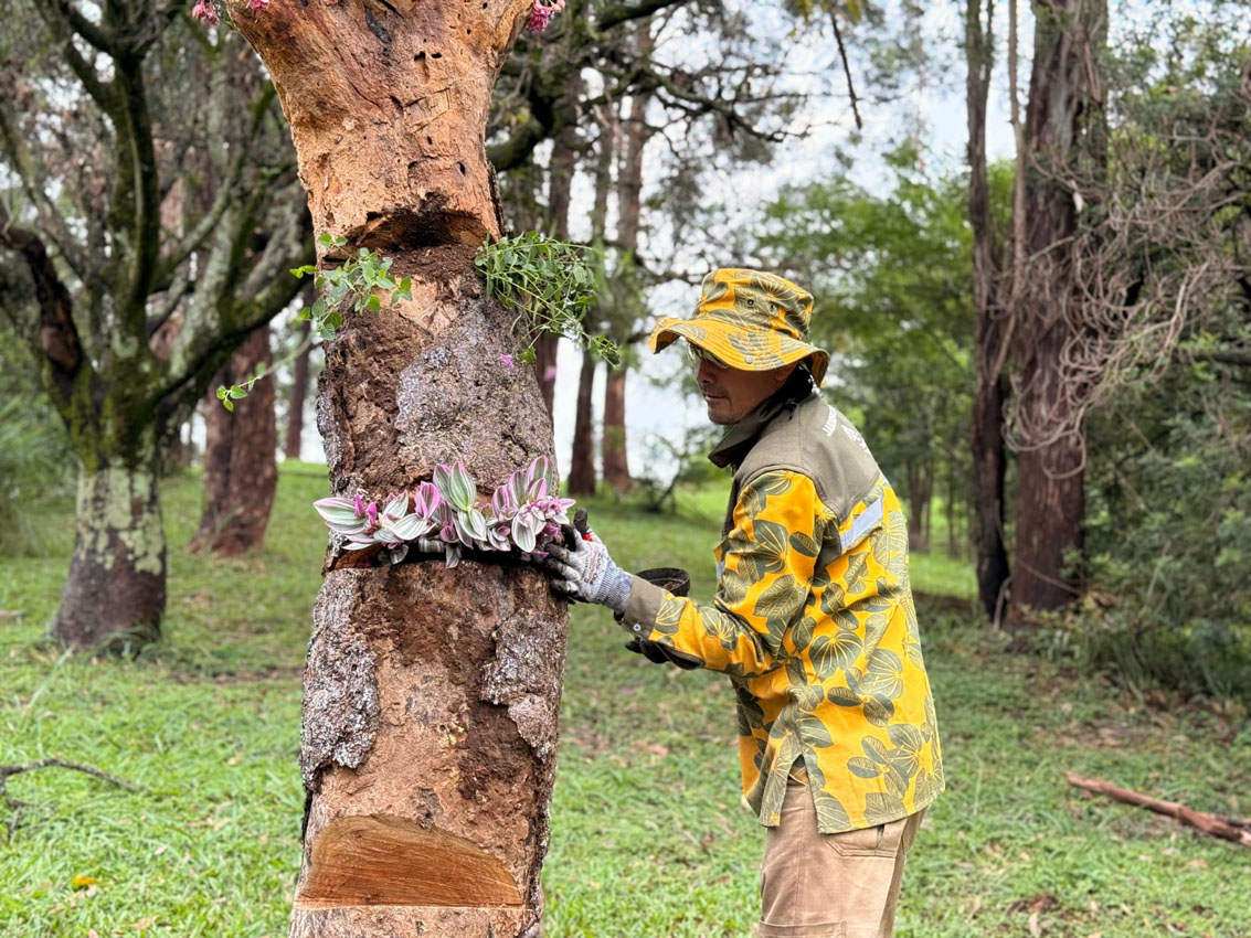 Imagen protección cerros Medellín (1)