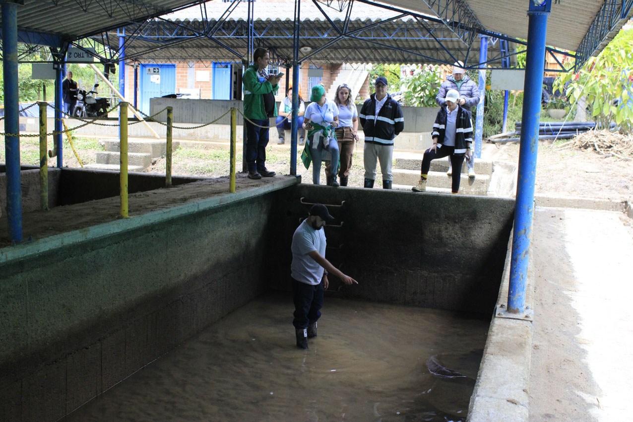 Imagen recuperación acueductos Altavista 2