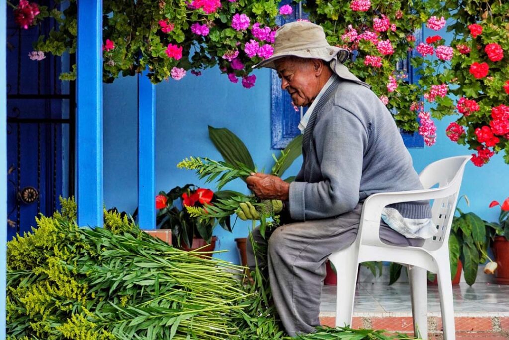 Imagen silletero ordenando flores
