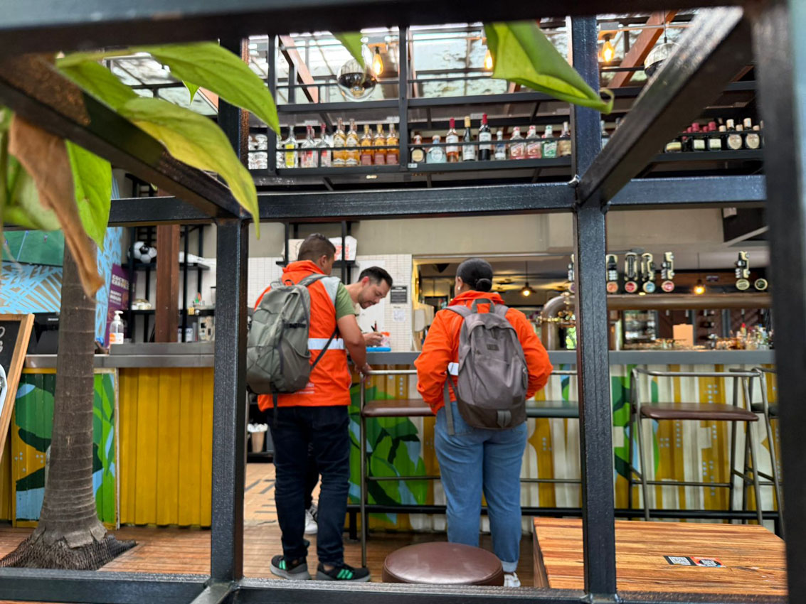 Imagenes intervención árboles Provenza (1)