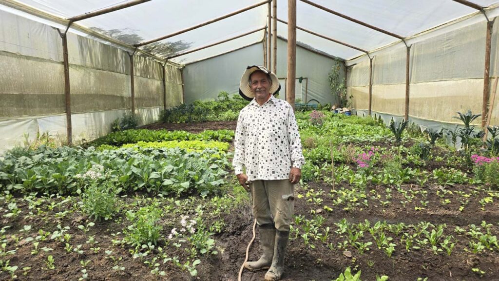 imagen de campesino en huerta