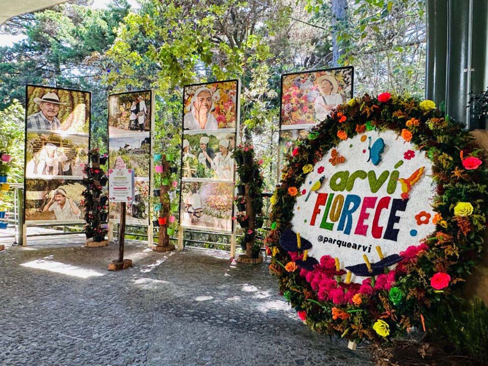 Imagen Arví florece