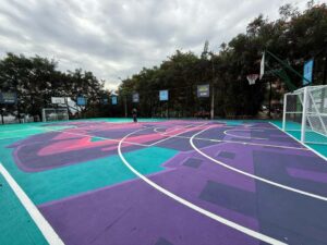 Imagen canchas Inder 3