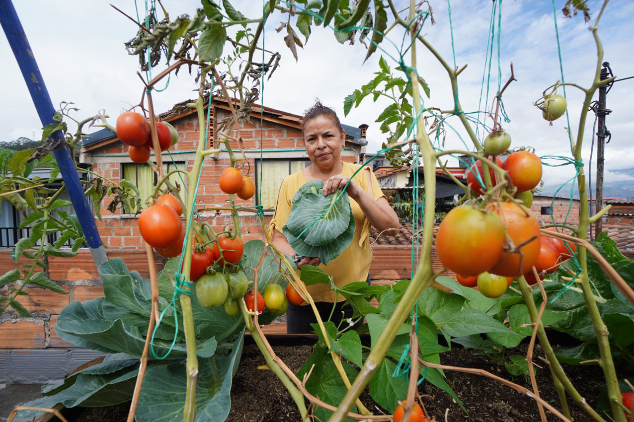 Imagen cultura ambiental en barrios y corregimientos (3)