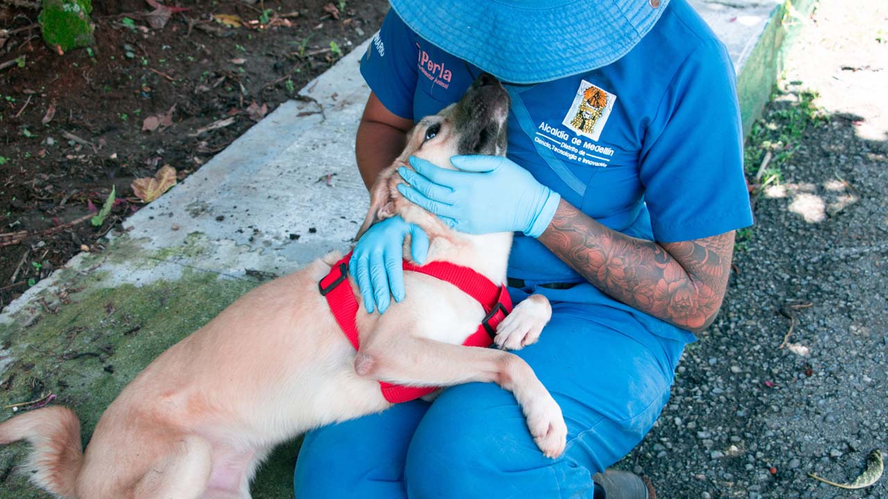 Imagen de Pan y cuidadora