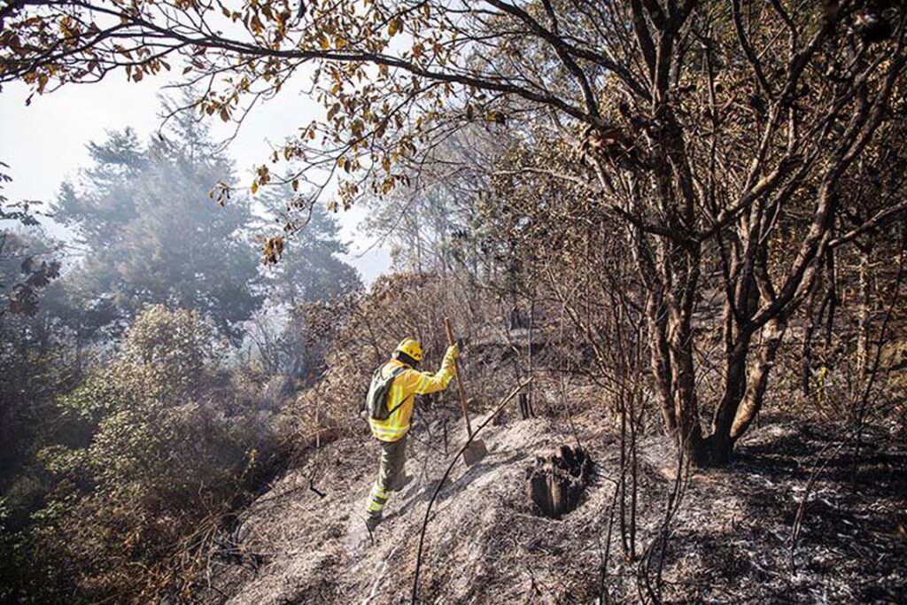 Imagen de bombero en lugar de incendio