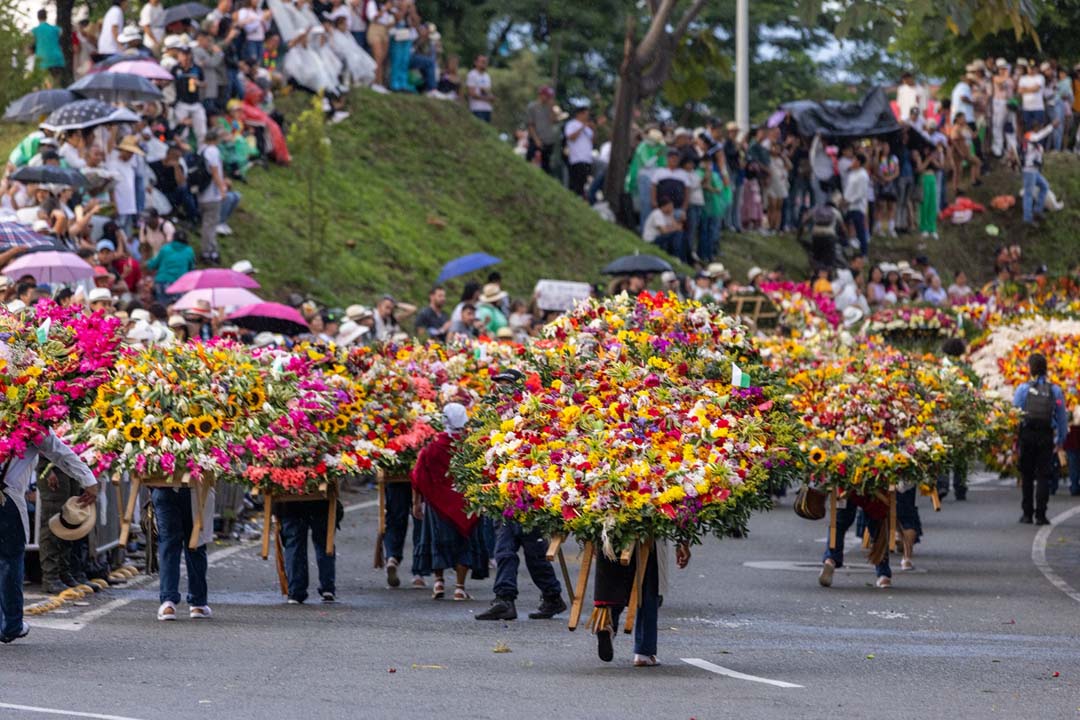 Imagen de graderías en desfile Feria de las Flores (2)