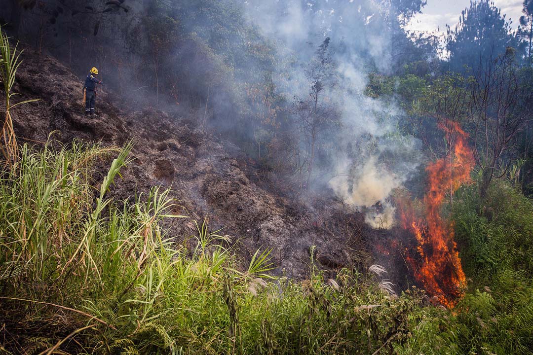 Imagen de incendio foto 1