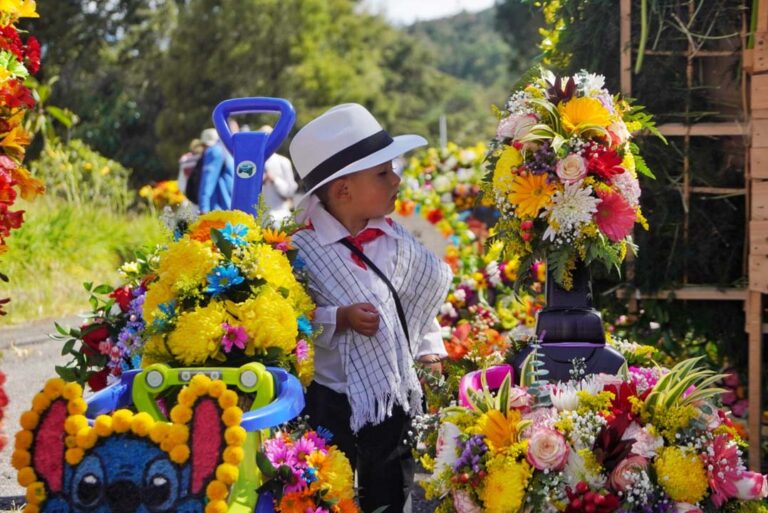 Imagen de silleterito