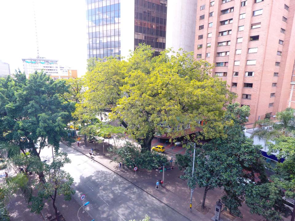 Imagen foto ppsl-min